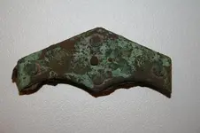 BATWING.webp
