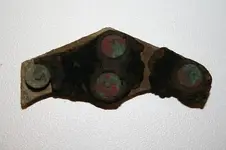 BATWING BACK.webp