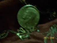 coin.webp