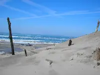 finds 007.webp