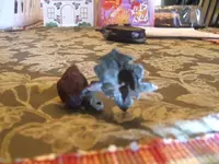 DSCF1625.webp