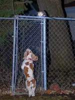 TN-!.webp