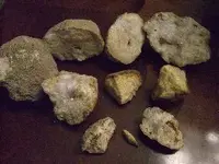 CIMG0852.webp