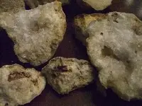 CIMG0853.webp