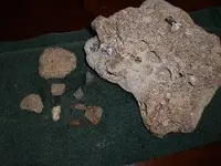 CIMG0857.webp