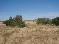 old airfield.webp