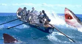 sharks.webp