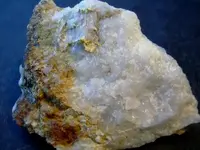DSCN1306.webp