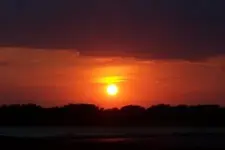 Sunset.webp
