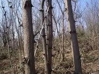 P4030067_resize.webp