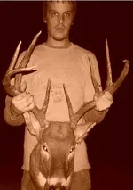 deer.webp