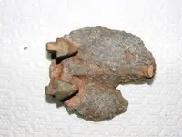 DSCF0265.webp