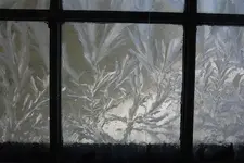 Picture%20002%20(2).webp