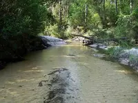 Blackwater State Park.webp