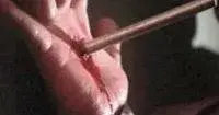 hand.webp