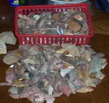 Picture 160 (2).webp