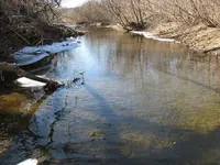 003.webp