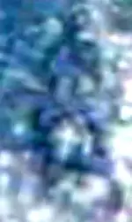 11111c1.webp
