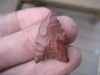 jasper3.webp