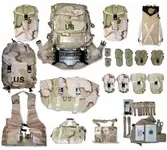 mollegear.webp