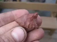 jasper4.webp