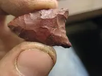 jasper2.webp