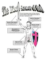 wholearmor1_jpg.webp