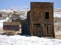 bodie.webp