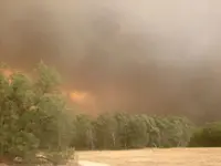 fire5.webp