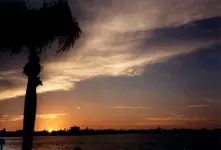 Flordia-Sunset.webp