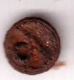 button back2.webp