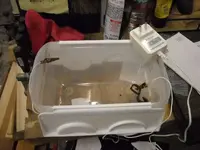 DSCN1040.webp
