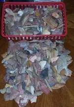 Picture 153 (2).webp
