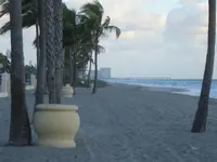 SEARCHING SPOTS DANIA BEACH FL.webp