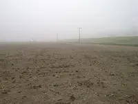 DSC00971.webp