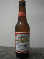 A_bottle_of_Budweiser (Medium).webp