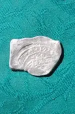 Will reale 3.webp