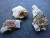 DSCN1312.webp