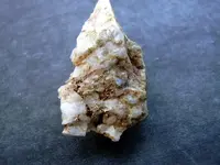 DSCN1319.webp