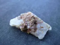 DSCN1320.webp