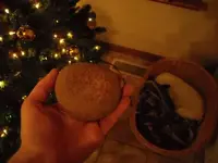 DSCN0193.webp