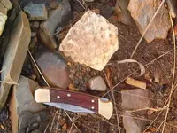 fossil hunt 009.webp
