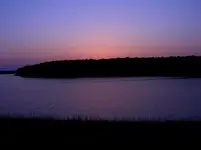 DSCN1783.webp