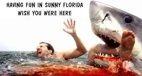 funny-Floridapostcard2.webp