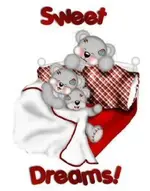 s81.webp