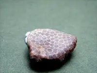 Michigan state stone.webp