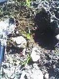 picture010.webp