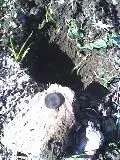 picture011.webp