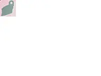 johns 1.webp