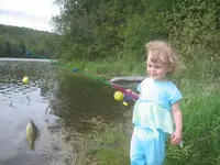 Brinleys Bluegill.webp